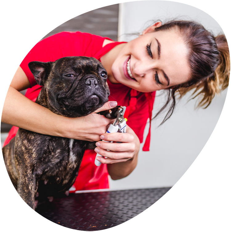 Girl looking at dog